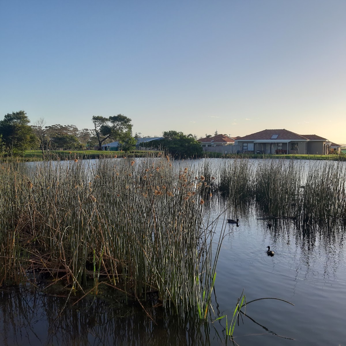 Yang Yang Kitchen Photos 2